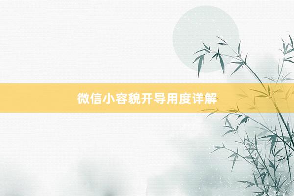 微信小容貌开导用度详解