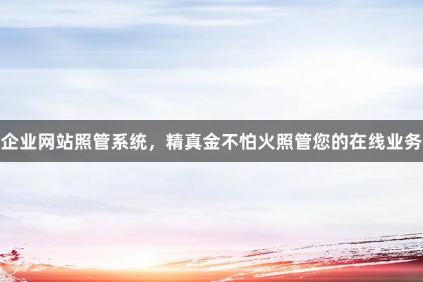 企业网站照管系统，精真金不怕火照管您的在线业务