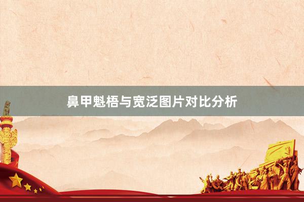 鼻甲魁梧与宽泛图片对比分析